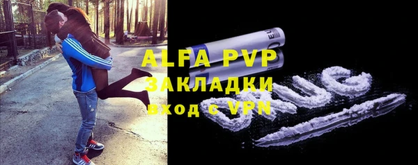 индика Россошь