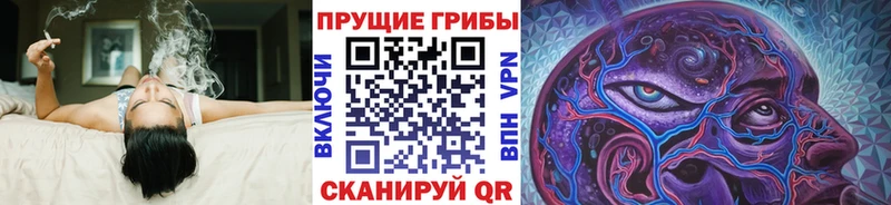 Галлюциногенные грибы Magic Shrooms  купить  цена  Сольцы 